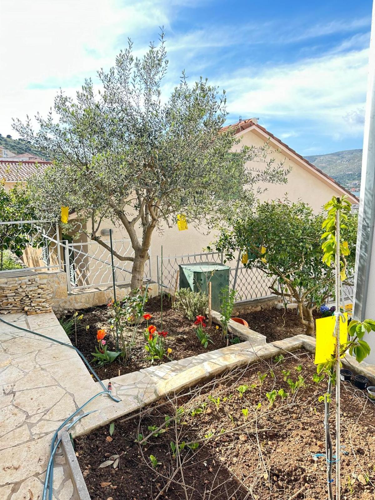 Levanda Apartmán